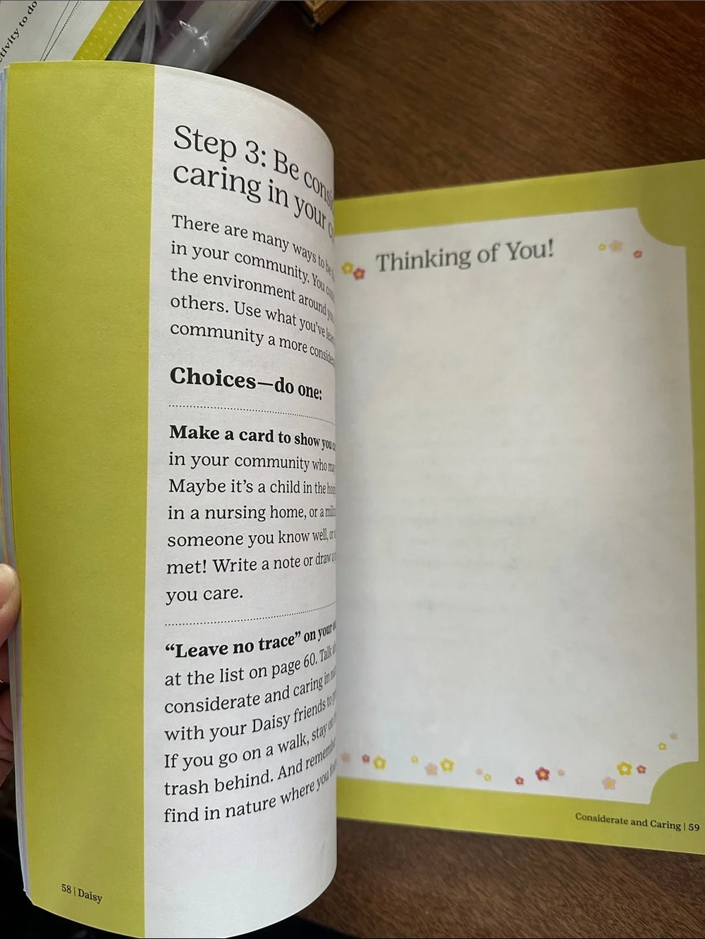 Daisy Handbook - like new, only 2 pages out/used.